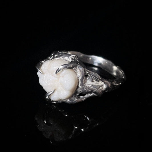 Anillo MOLAR