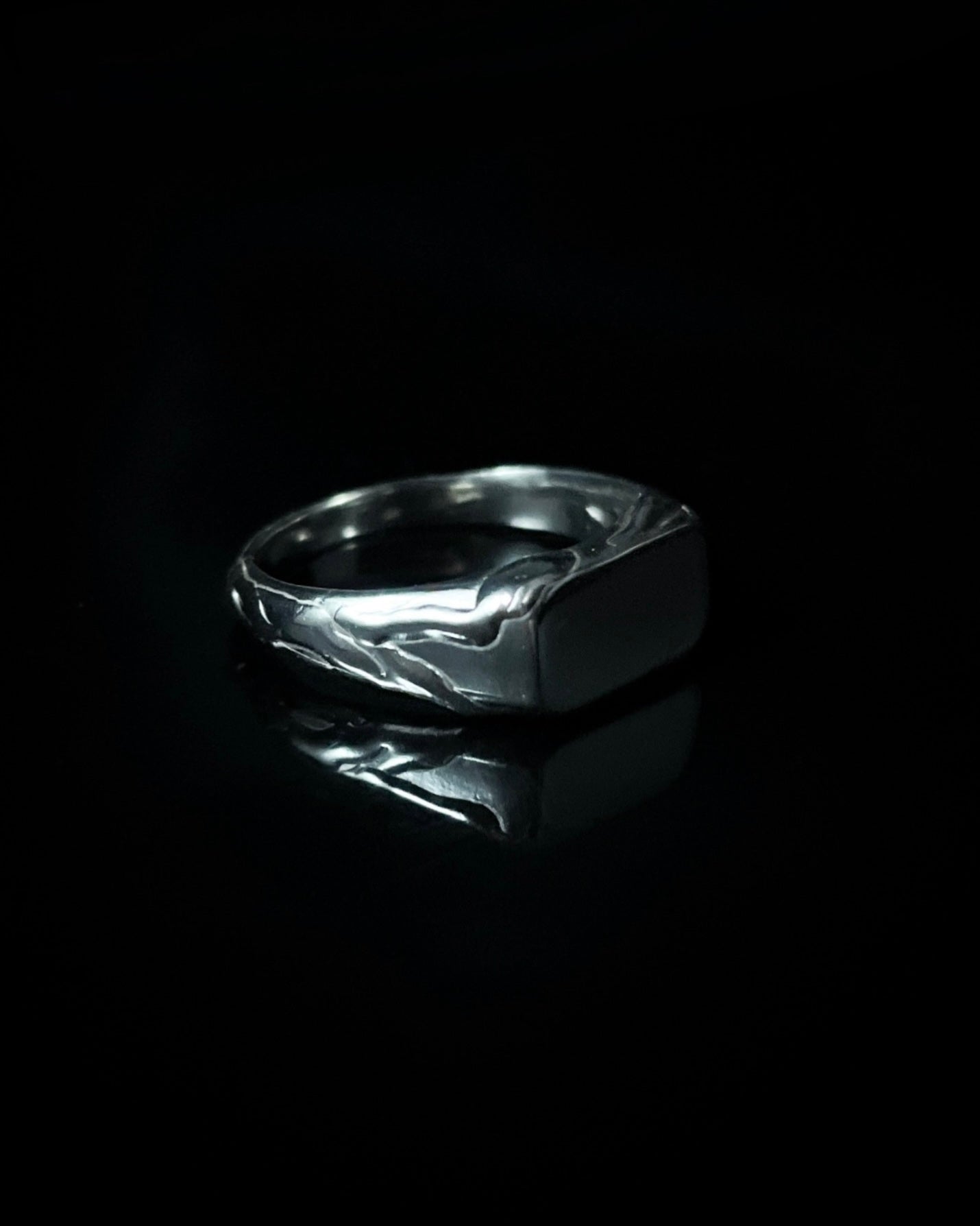 Anillo SELLO texturas